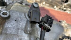 Harness EXT Kit